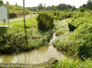 拿督沈桂贤服务团队积极走入基层